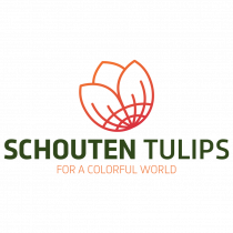 logo-officialSchoutenGroen_sq